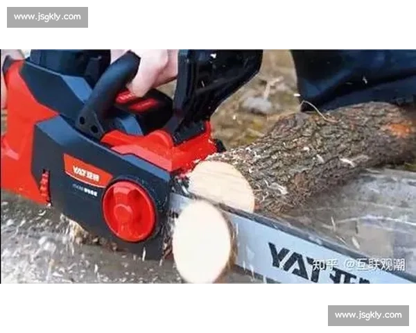国外高效伐木：技术如何做到省时省力？